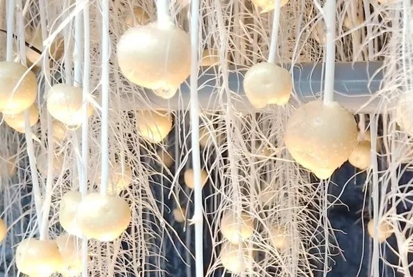 党建引领 科技赋能|“中国薯都”定西马铃薯产业高质量发展