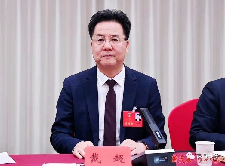 戴超参加市五届人大一次会议漳县代表团审议