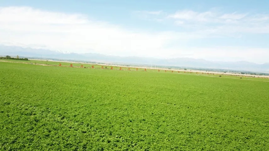 甘肃民乐：党建引领推动经济社会高质量发展