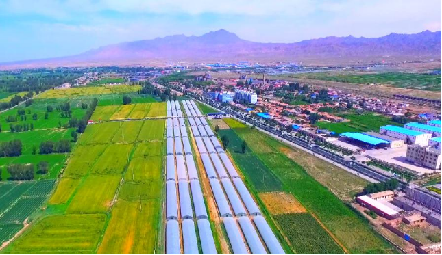 甘肃张掖山丹：田野点亮新希望 新农村奔涌新动能