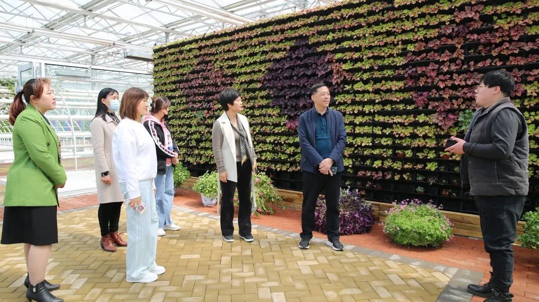 青岛西海岸张家楼街道人大工委调研“街道全域旅游事业发展” 情况