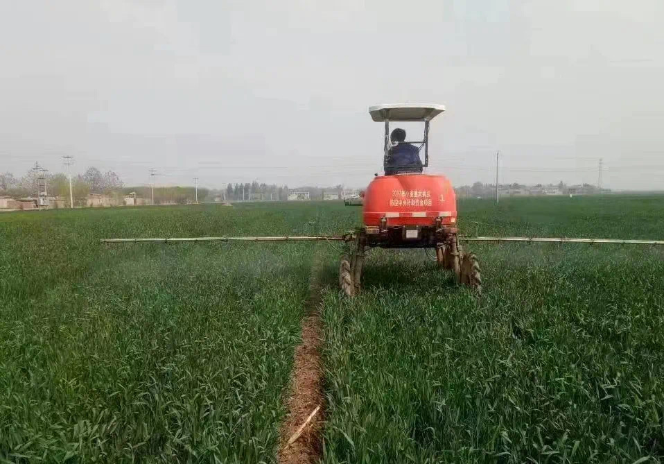 【高质高效】河北省小麦“促弱转壮”成效明显