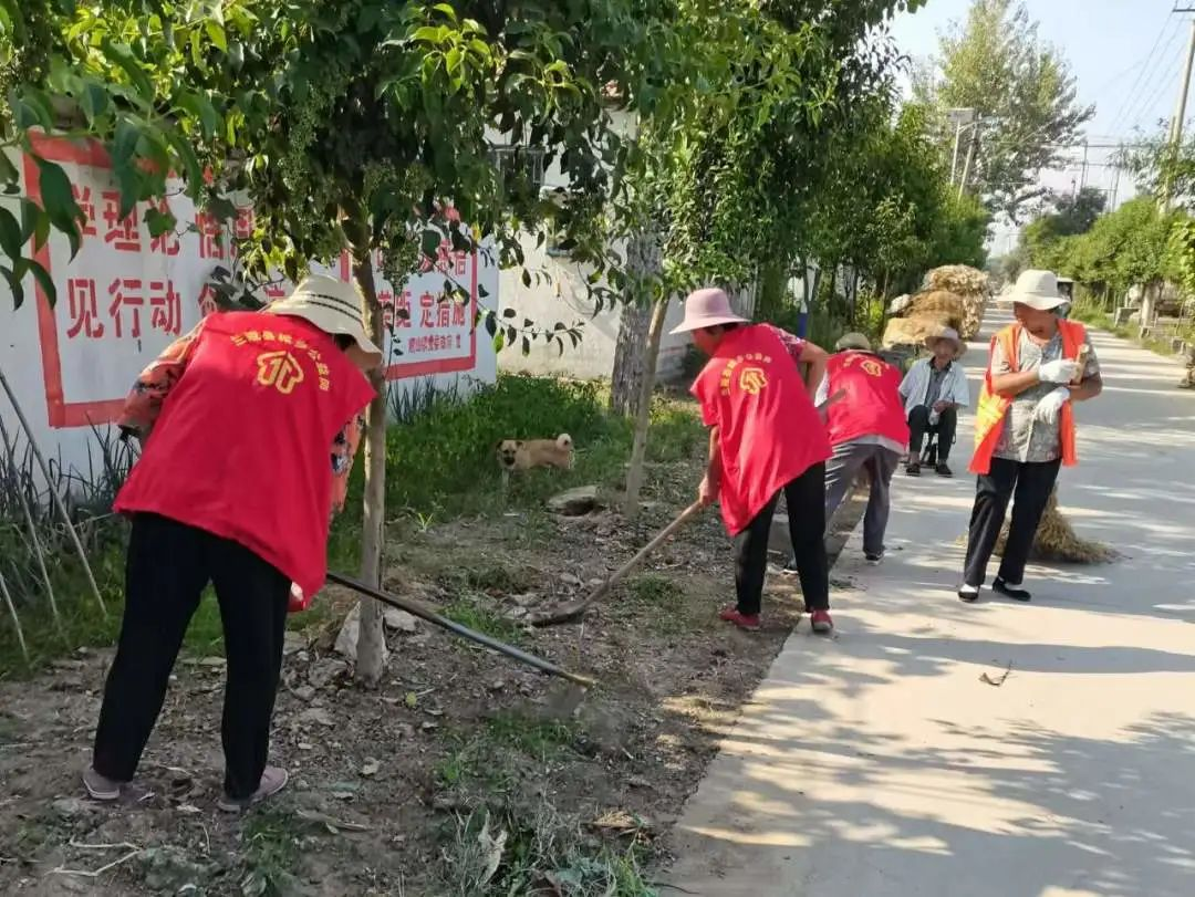 山东省兰陵县磨山镇奏响人居环境交响曲