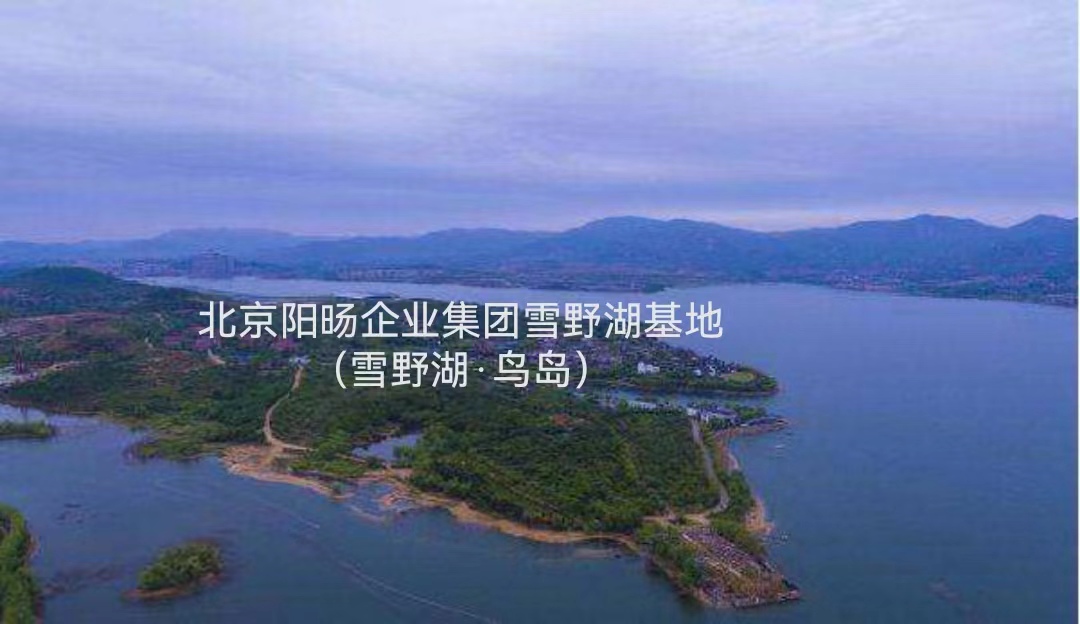 济南雪野湖鸟岛：一片祥和丰收多彩的季节景象