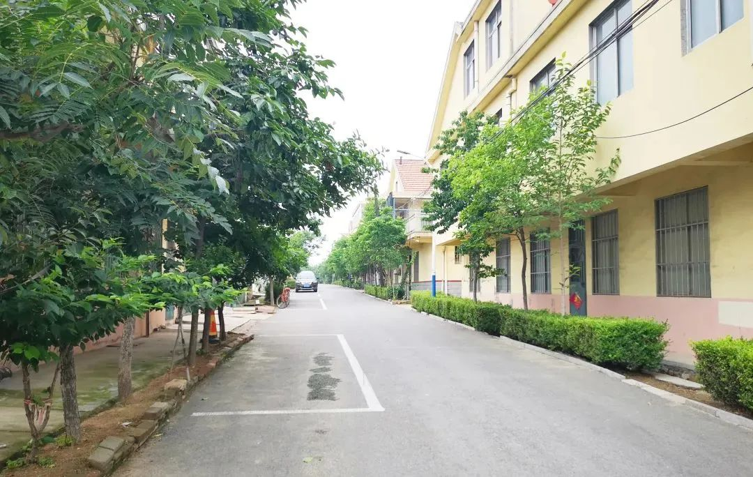 青岛西海岸新区滨海街道凝聚力量构建共建共治共享社会治理格局