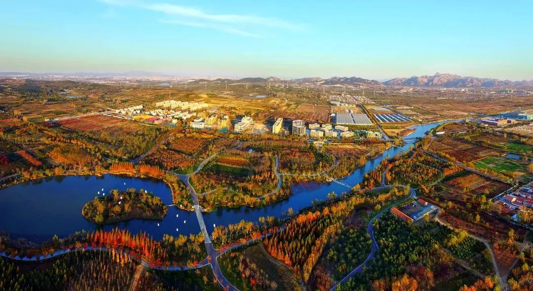 青岛西海岸张家楼街道画美达尼片区入选青岛十大市级乡村振兴示范片区