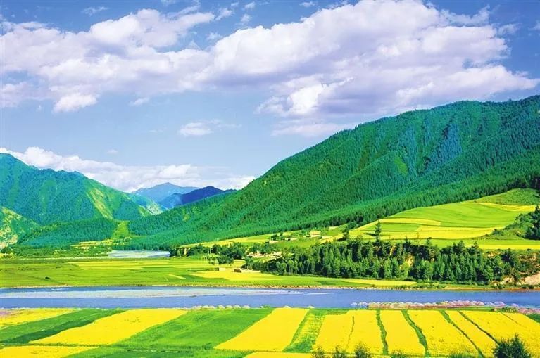 建设人与自然和谐共生的美丽家园——甘肃省干部群众热议党的二十大报告