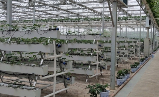 赤壁财政生态文明助推城乡一体化发展