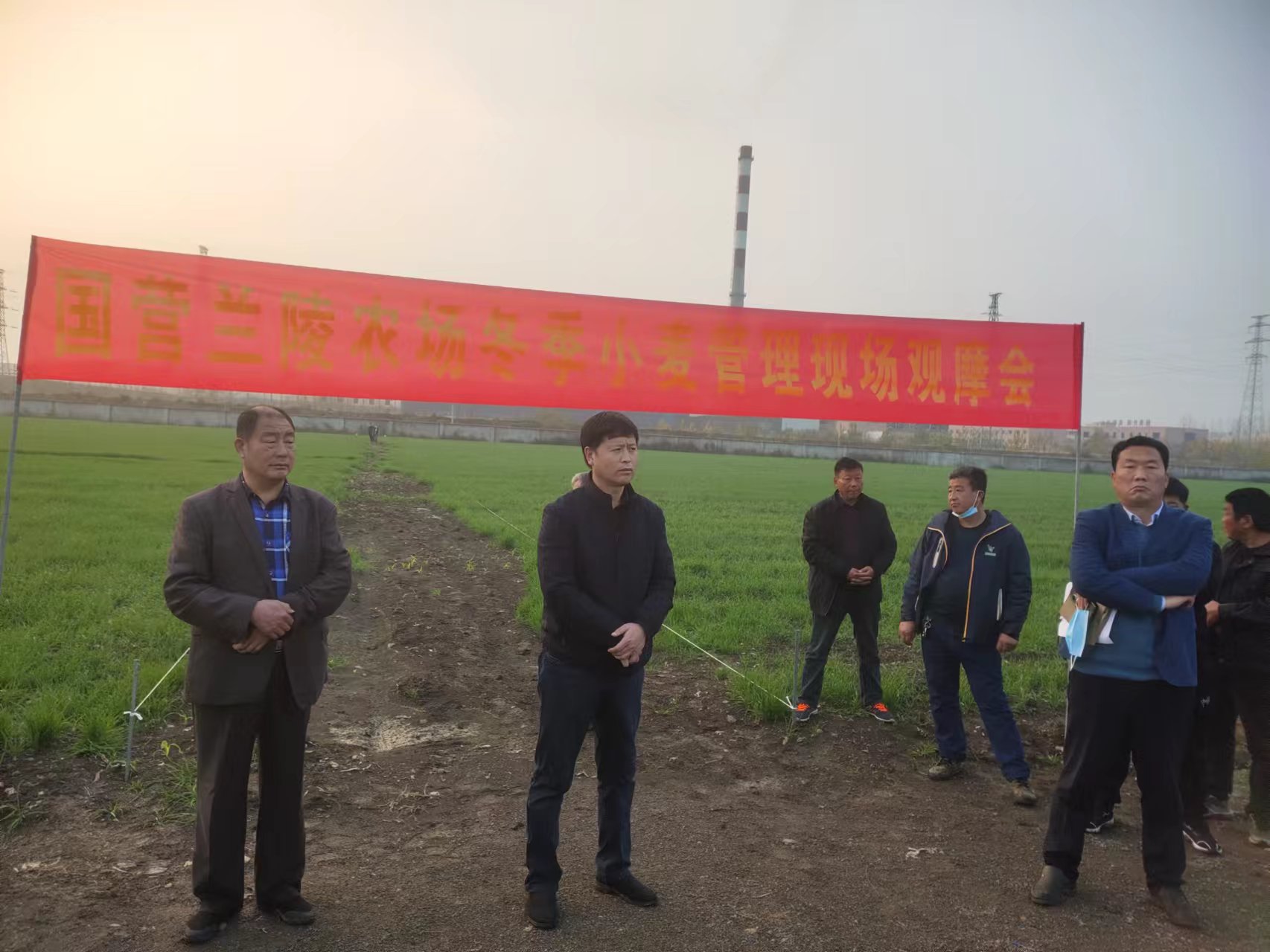 国营兰陵农场：践行二十大 冬季小麦管理上日程