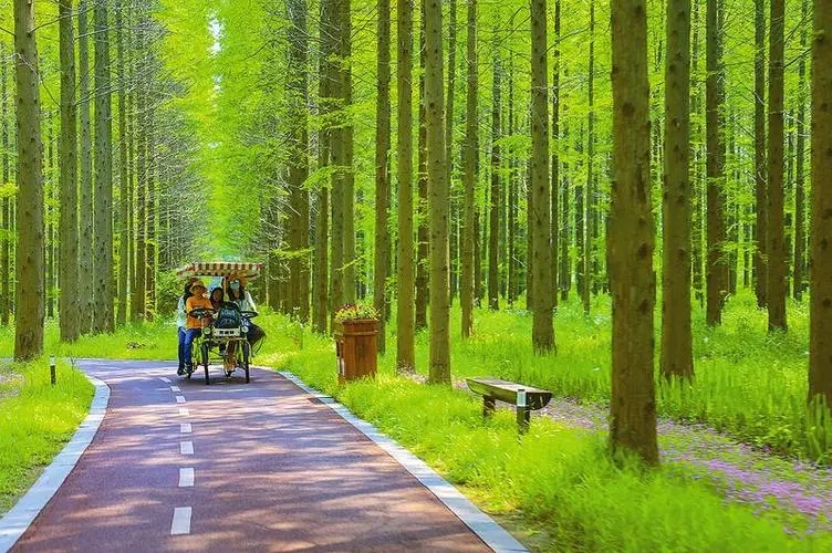 江苏盐城东台：竞走绿色低碳路,赢来高质量发展“艳阳天”