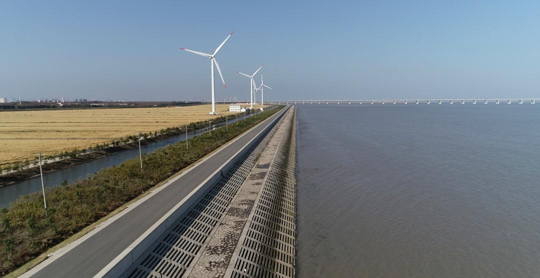 江苏盐城：强化海域防控 守护“沿海绿城”