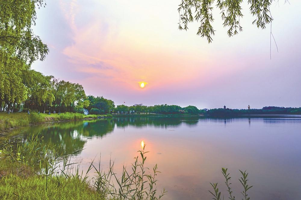 江苏盐城：微度假方兴未艾，路在脚下