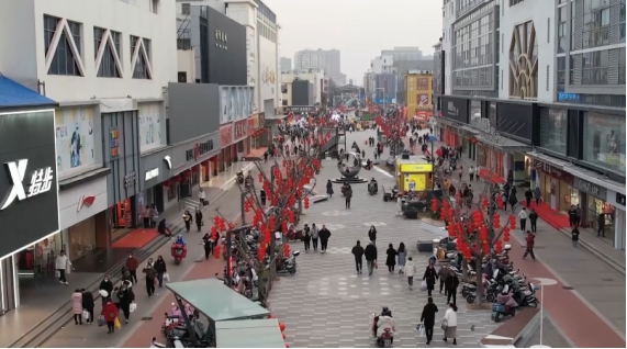 江苏盐城射阳：汇聚人间烟火 鹤乡年味升腾