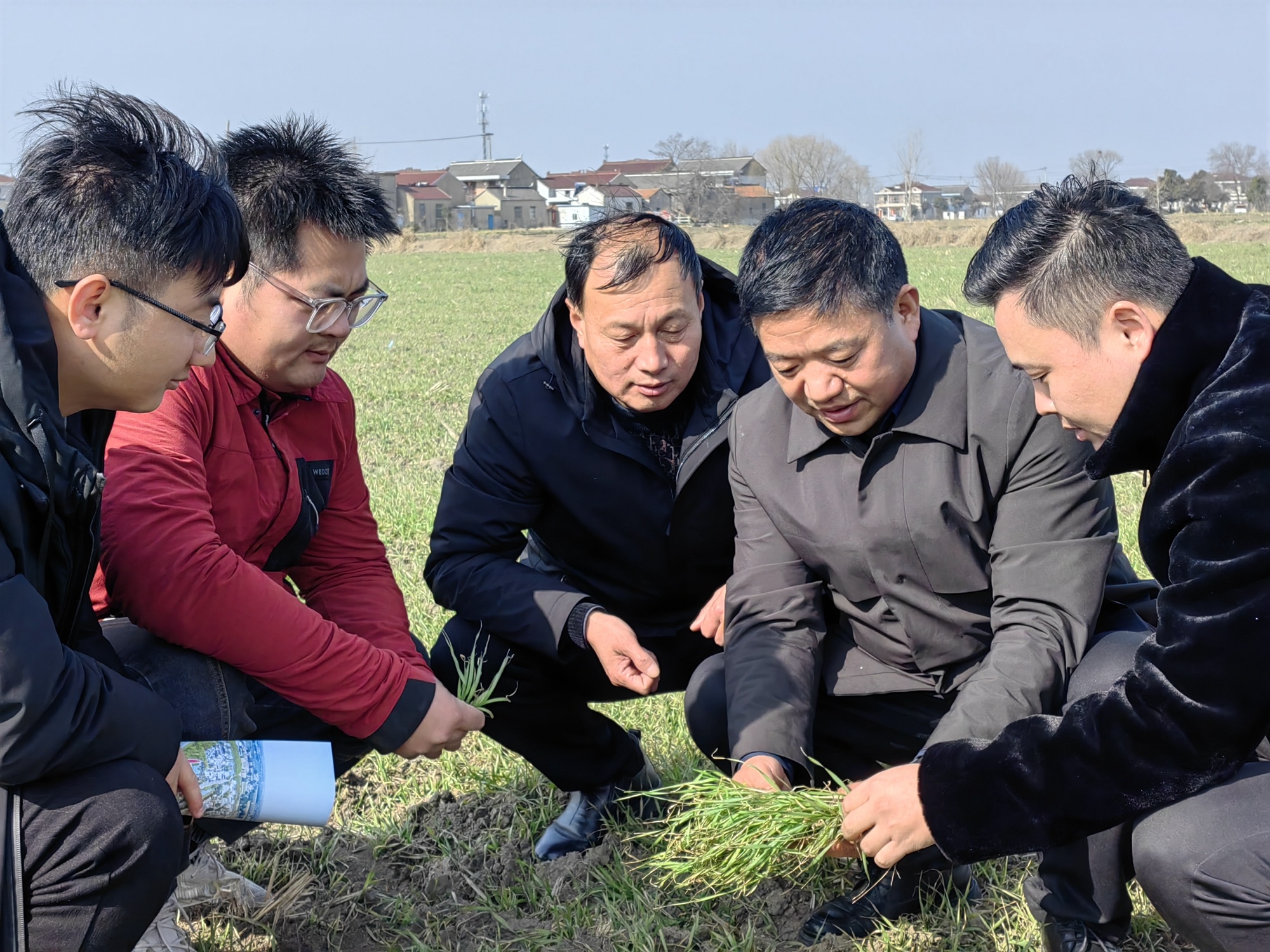 江苏盐都盐渎街道：农技下乡春来早