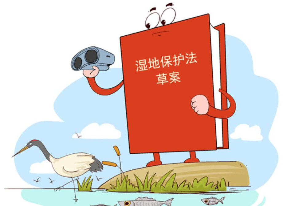 江苏盐城大丰法院工会：开展《湿地保护法》宣传活动