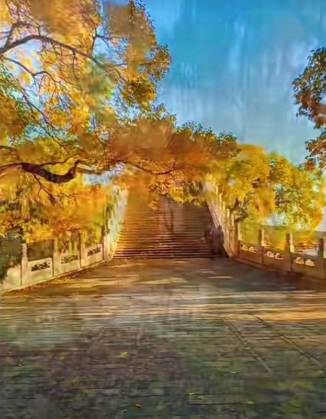 江苏省邳州市议堂村榜上有名“全国民主示范村（社区）”