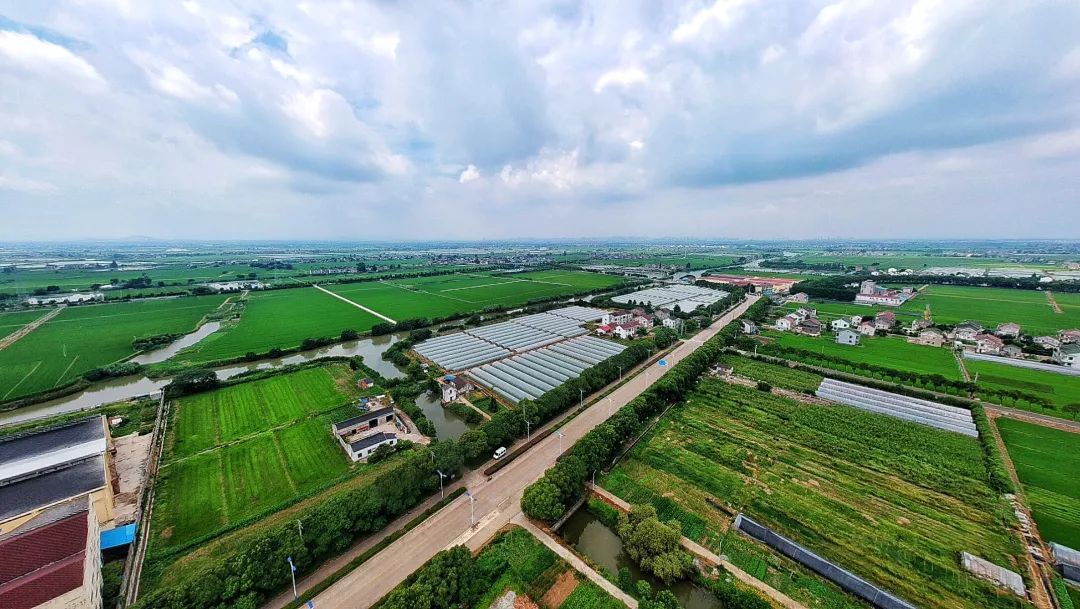 江苏滨海天场镇：打造乡村振兴新标杆 激活绿色发展新活力