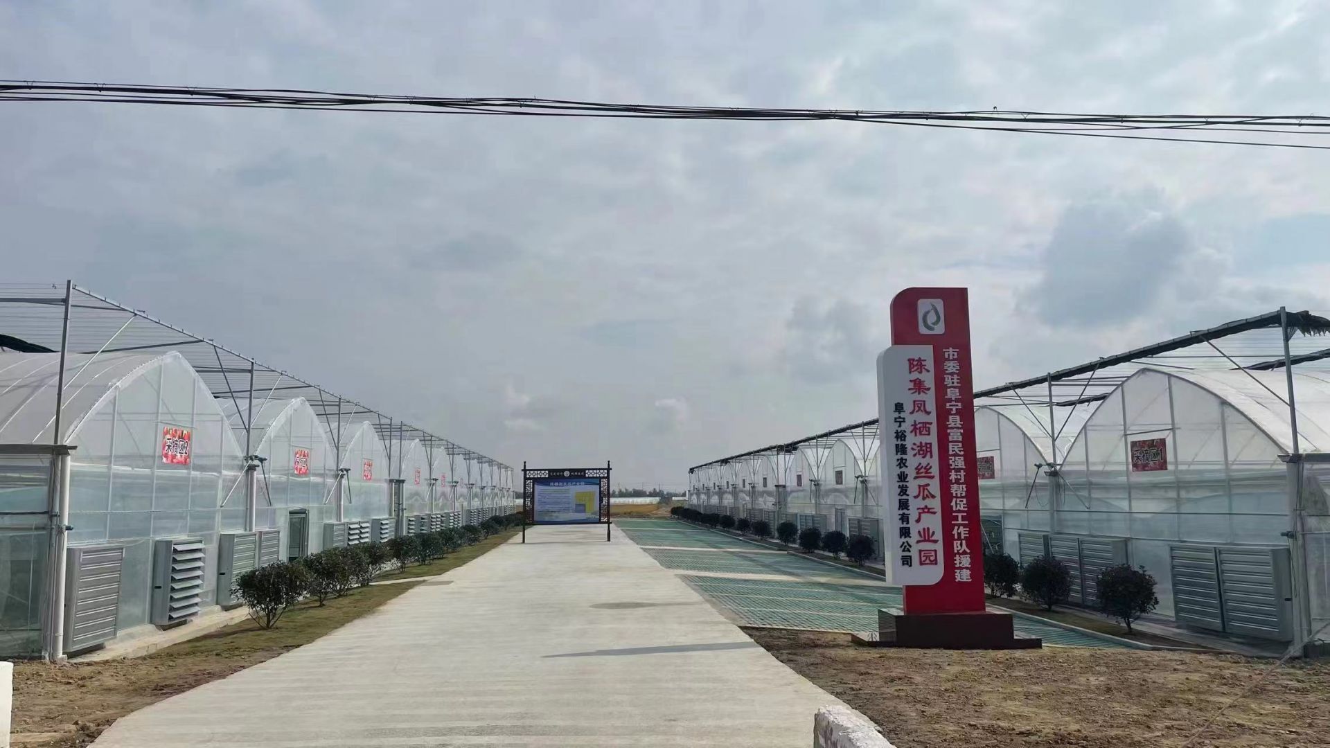 江苏盐城：“勇”字当先 乡村振兴谱新篇