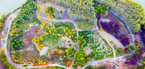 盐城东台：打造“两山理论”实践典范