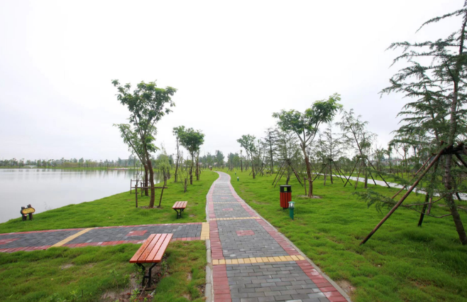 盐城大丰西团镇：跑出项目建设“加速度”