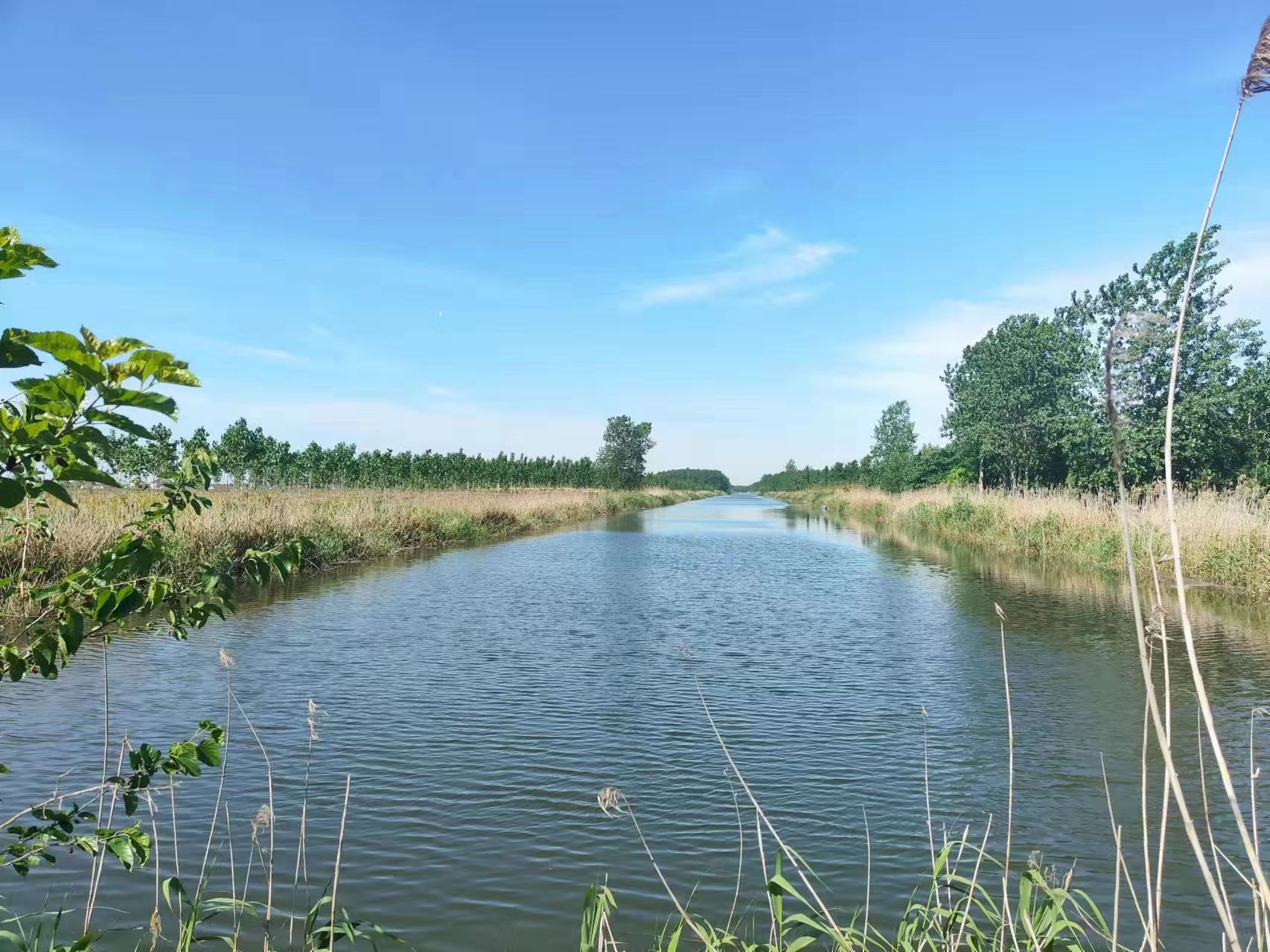 江苏大丰草庙镇：擦亮美丽乡村底色 提升百姓幸福指数