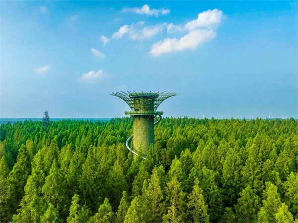 江苏东台市黄海森林公园喜登携程口碑榜！