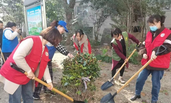 盐城亭湖：不负春光植树忙 春风十里添新绿