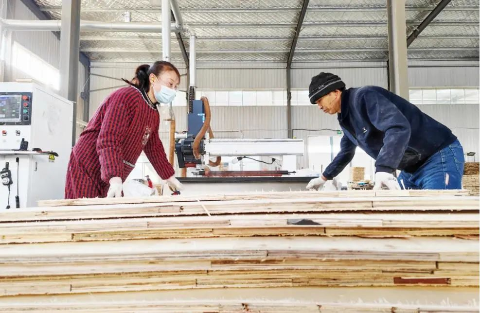 青岛西海岸大村镇：项目建设挂上“加速档”，服务实体经济质效提升