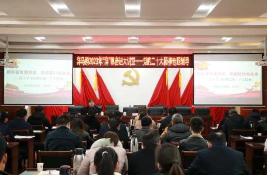 盐城射阳洋马镇：开展党员冬训专题辅导会