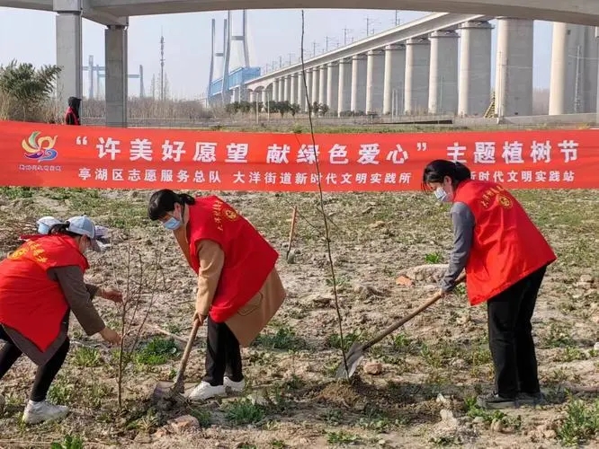盐城亭湖大洋街道：“民意大篷车”链接干群心