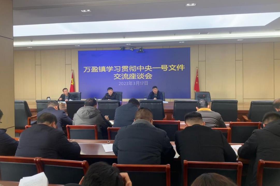 盐城大丰万盈镇：贯彻一号文件 厚植稳农根基