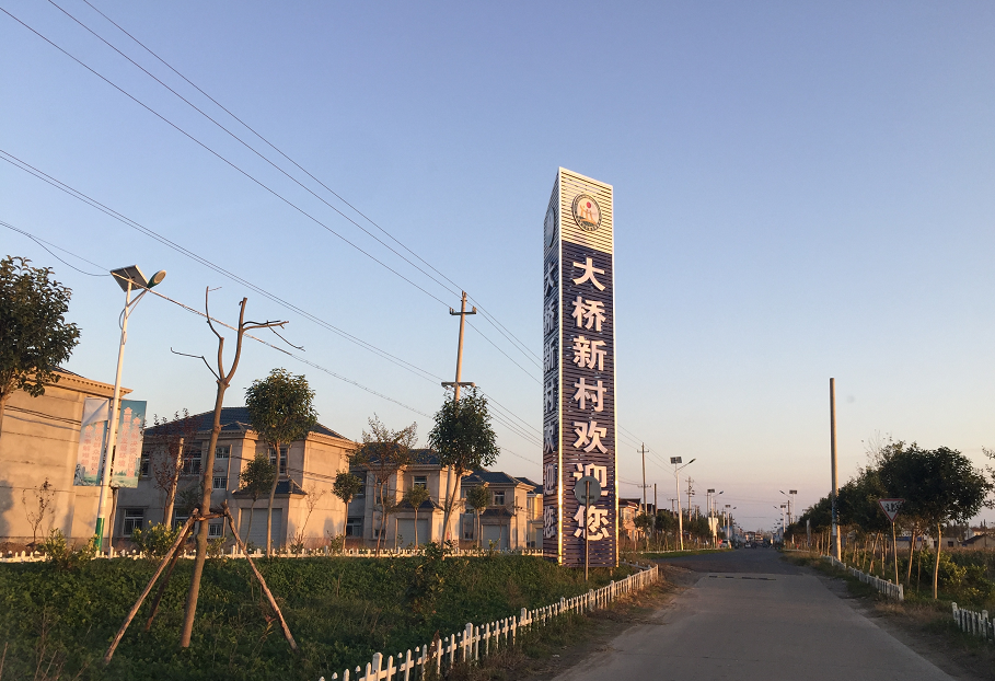 盐城大丰区大桥镇：学习两会精神 推动高质量发展