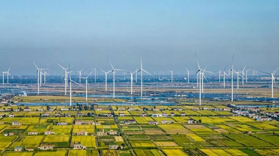 江苏盐城射阳县：聚势蓄能筑牢产业发展硬支撑