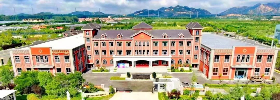 青岛西海岸新区张家楼街道：紫斐蓝莓精深加工项目助力乡村振兴