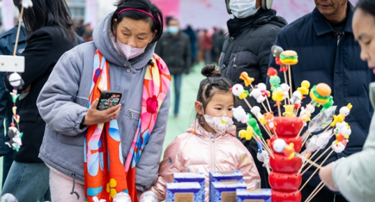 “以花为媒，以节会友”盐城市亭湖区南洋镇举办首届“桃花节”