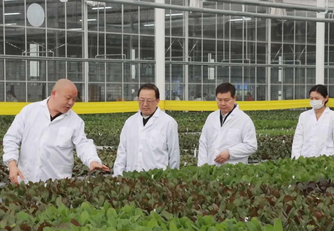 河南省政协副主席谢玉安来山东新格林调研