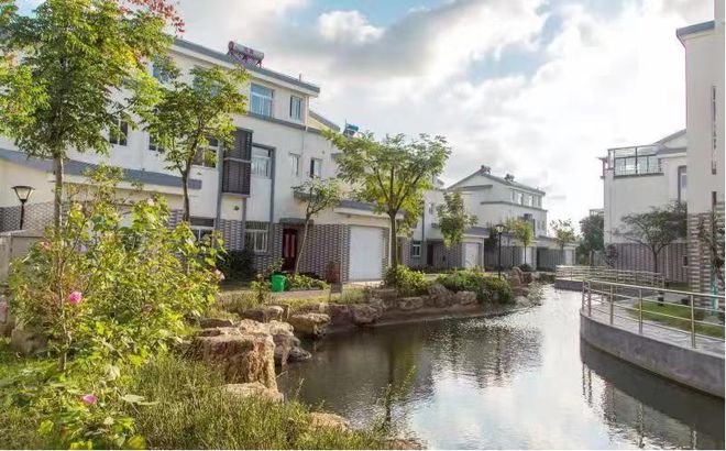 江苏盐城大丰区泰丰村：优化环境打造和美乡村