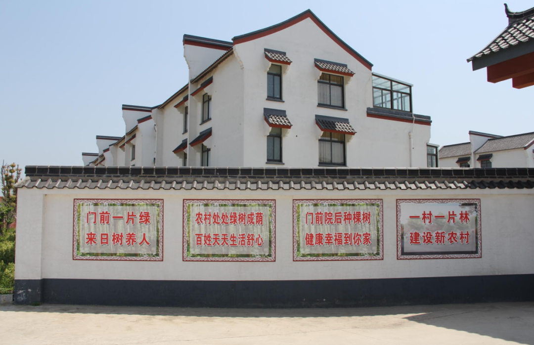 江苏盐城大丰区加大乡村绿化美化力度，努力改善农村人居环境