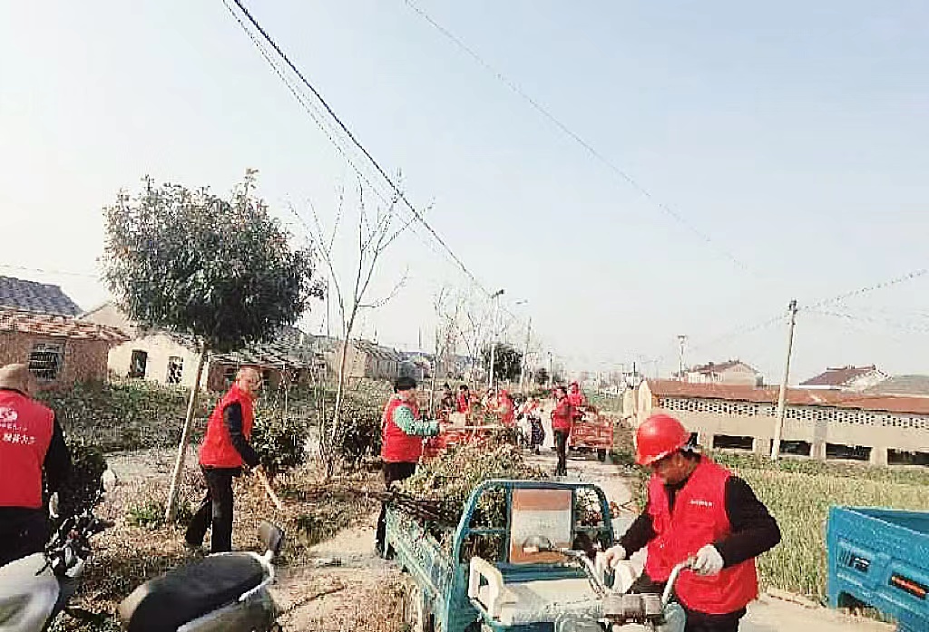 江苏盐城大丰万盈镇兆丰村：网格员化身志愿者扮靓生态家园