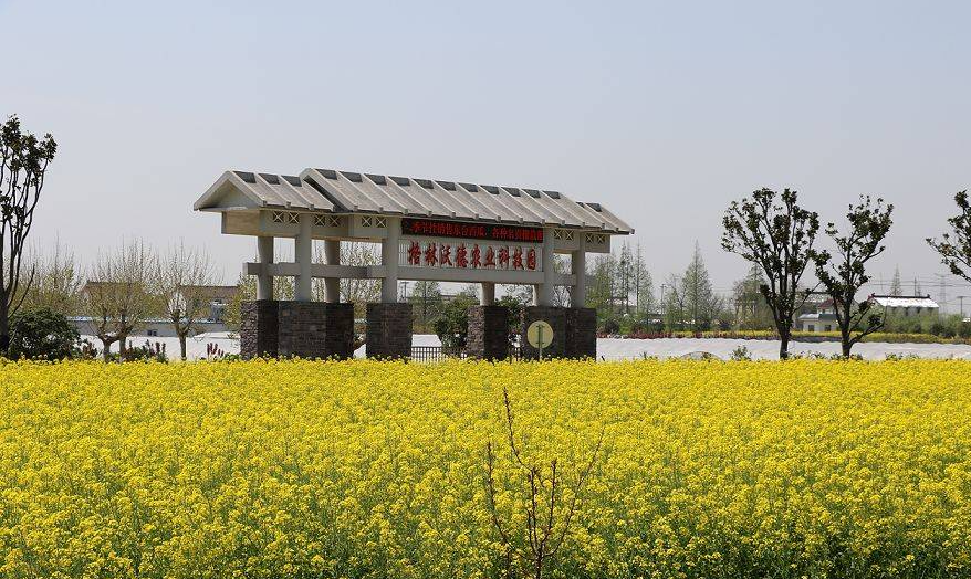 江苏东台市许河镇：“三举措”深入推进移风易俗 助力乡村全面振兴