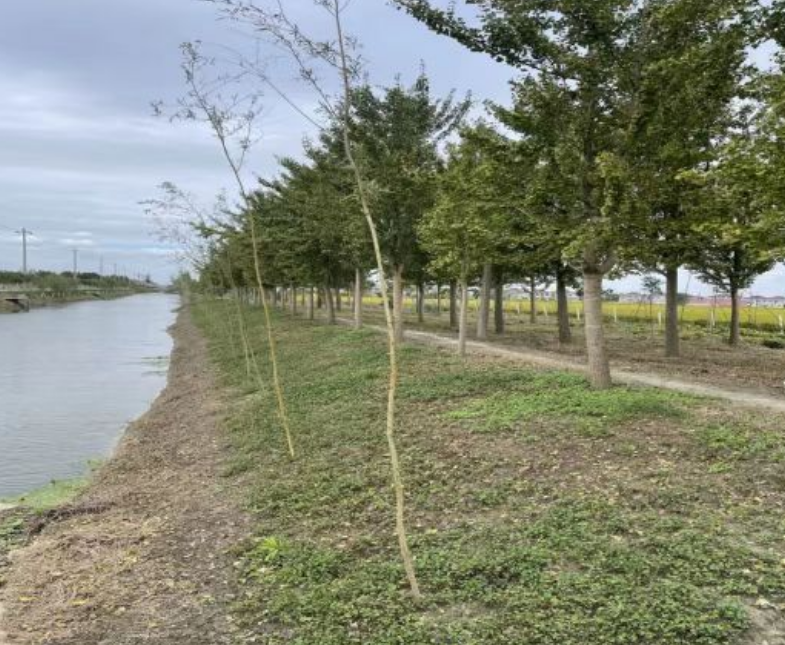 江苏盐城亭湖区便仓镇双港村开展人居环境整治