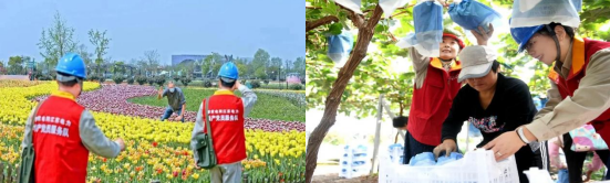 国网江苏盐城市大丰区供电公司团委荣获“江苏省五四红旗团委”称号