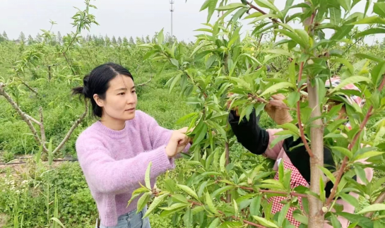 江苏盐城亭湖：搭平台，解难题，做青年创业者的“摆渡人”