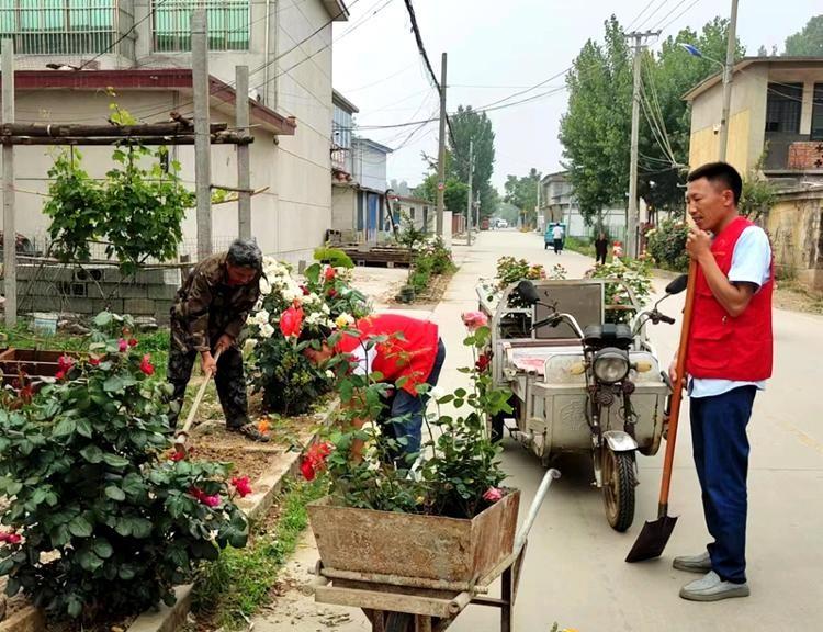 山东省兰陵县苍山街道：“苍山红”助力“百千工程”