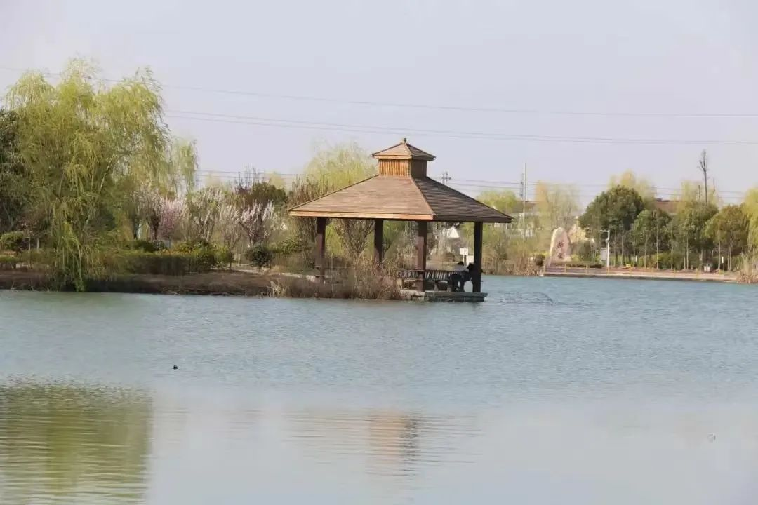 护一湾清水，惠一方百姓|江苏盐城大丰区持续推行河长制，不断提升水域生态环境