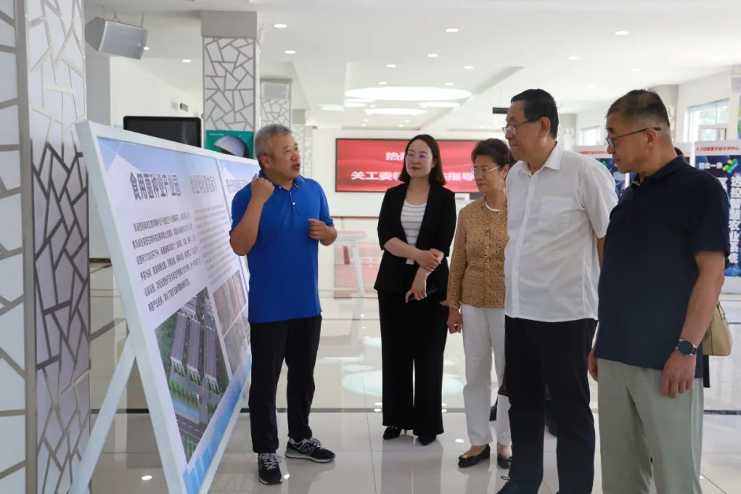 青岛市关工委杨宏钧一行到黄岛区大村镇开展调研活动