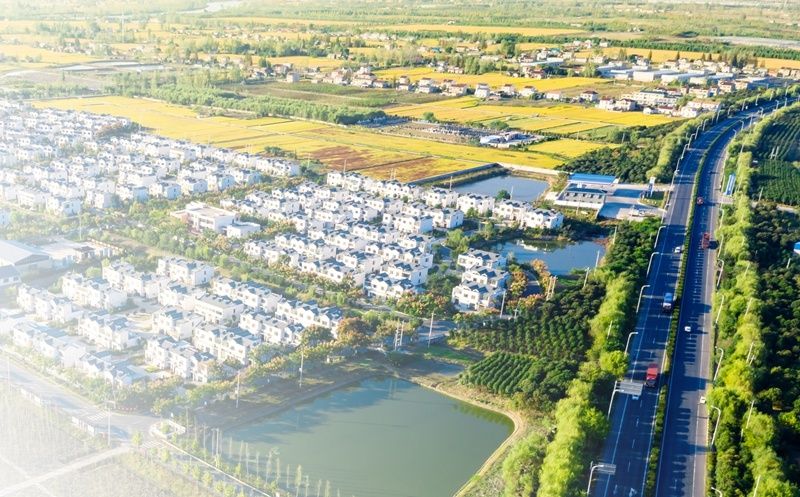 江苏盐城阜宁县：以林长制力促林长治 描绘美丽阜宁新画卷