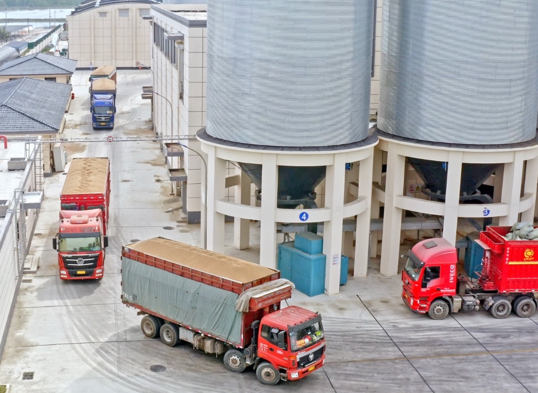 江苏盐城大丰区三龙镇：烘干作业加速度 护航“三夏”保粮安