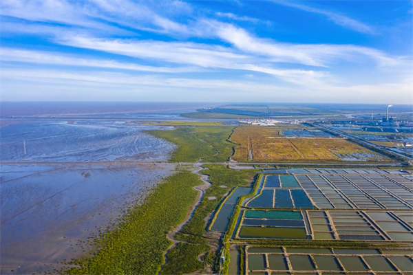 江苏盐城射阳县：逐绿前行保资源 奋辑扬帆促发展