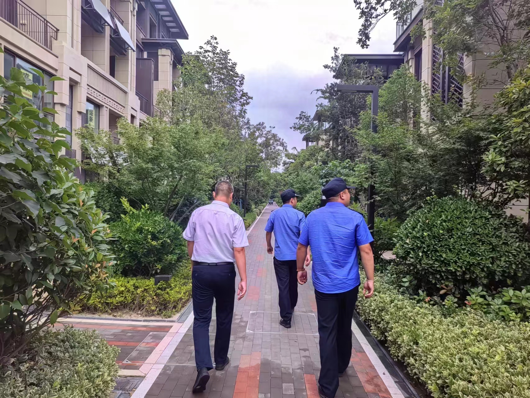 青岛市黄岛区张家楼执法中队强化违建排查整治护航平安建设